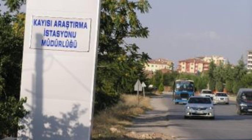 Malatya&rsquo;da Sıcaklık Yine 40 Dereceyi Ge&ccedil;ti