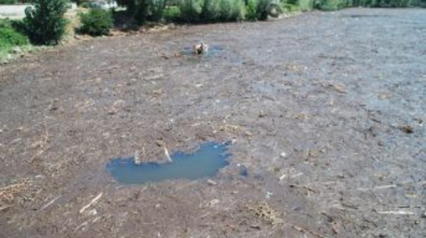 Derbent Barajı&rsquo;nda Balık Yerine Odun Yakalıyorlar