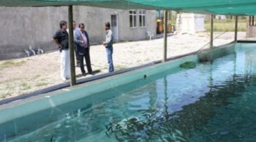 Erzincan&rsquo;da Su &Uuml;r&uuml;nleri Sekt&ouml;r&uuml; Gelişiyor