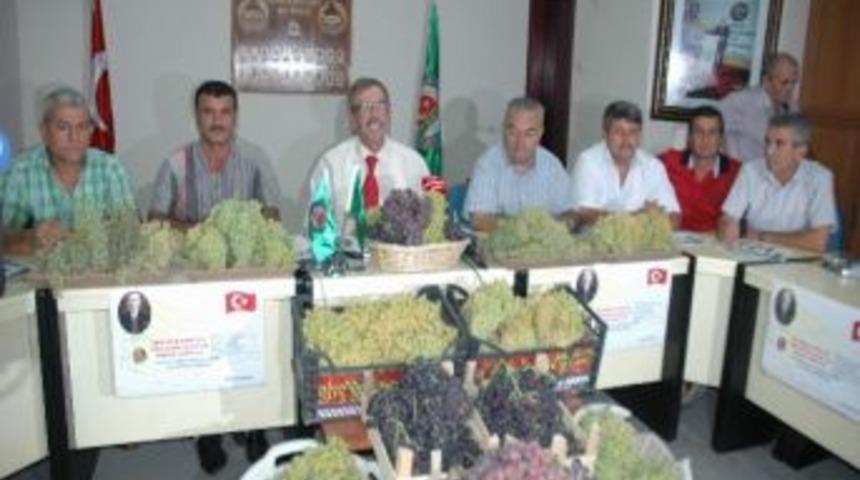 Ege B&ouml;lgesi'nin 2012 Yılı Tahmini &Ccedil;ekirdeksiz Kuru &Uuml;z&uuml;m Rekoltesi A&ccedil;ıklandı
