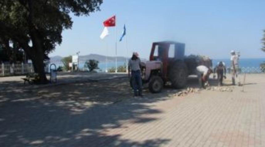 Adramytteion Kazıları Başladı