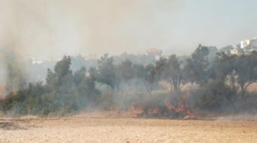 Didim'de Bir G&uuml;nde İkinci Yangın