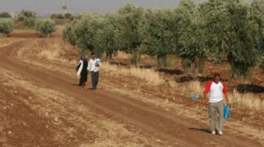 Suriye&rsquo;de &Ouml;l&uuml;mden Ka&ccedil;ışlar S&uuml;r&uuml;yor