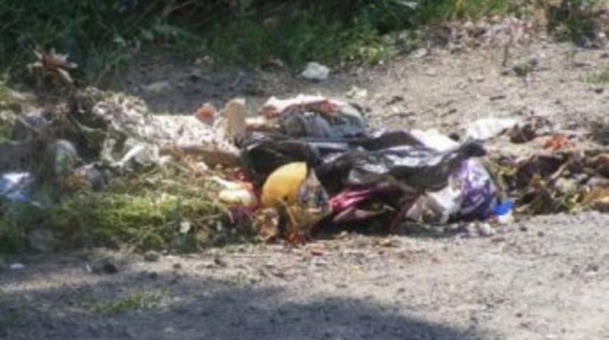 Belediye &ccedil;&ouml;pleri toplamıyor