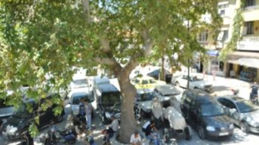 Milas&rsquo;ın Halı Pazarı Park Oluyor