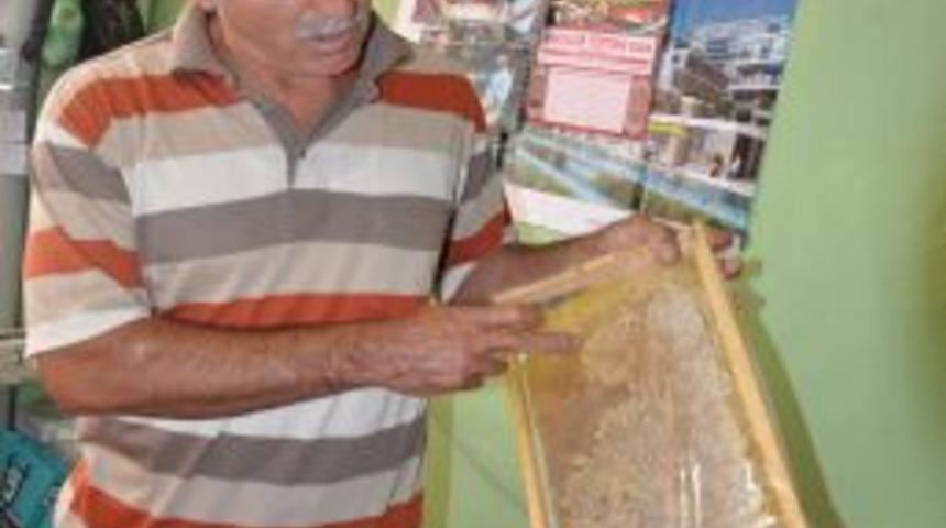 Arıcılar Birliği Temsilcisi'nden Sahte Bal Uyarısı