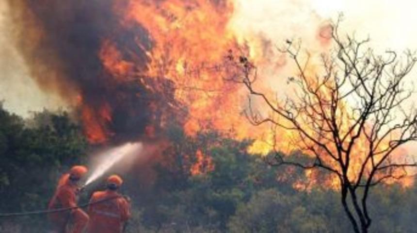 Ormanda B&uuml;y&uuml;k Yangın Alarmı İzinleri Kaldırttı