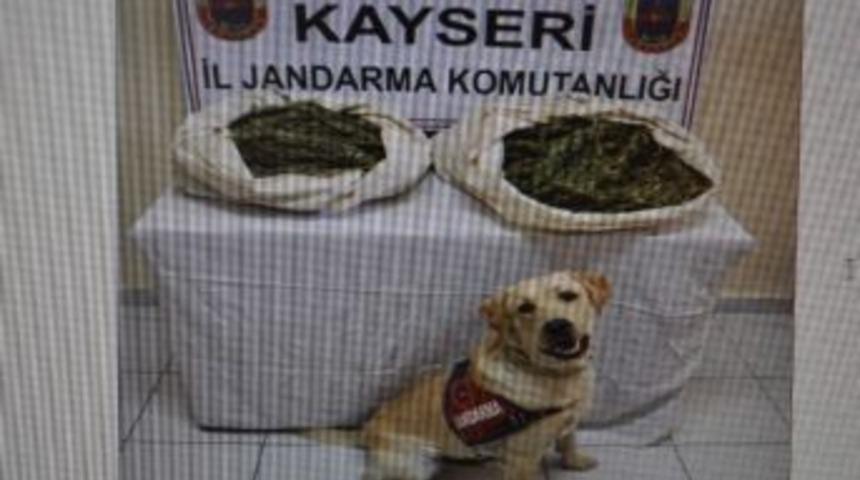 Otob&uuml;s&uuml;n Bagajında 9 Kilo Esrar Bulundu