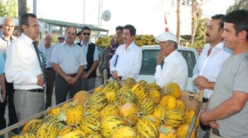 Vali Demir, &Ccedil;ardak Ve Acıpayam Il&ccedil;elerinde Incelemelerde Bulundu