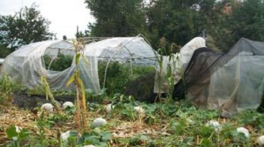 Fırtına Zonguldak&rsquo;ta Tarım Arazilerini Vurdu