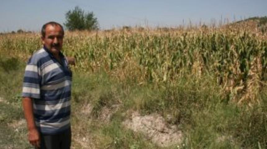 &Uuml;reticilerin Su İsyanı