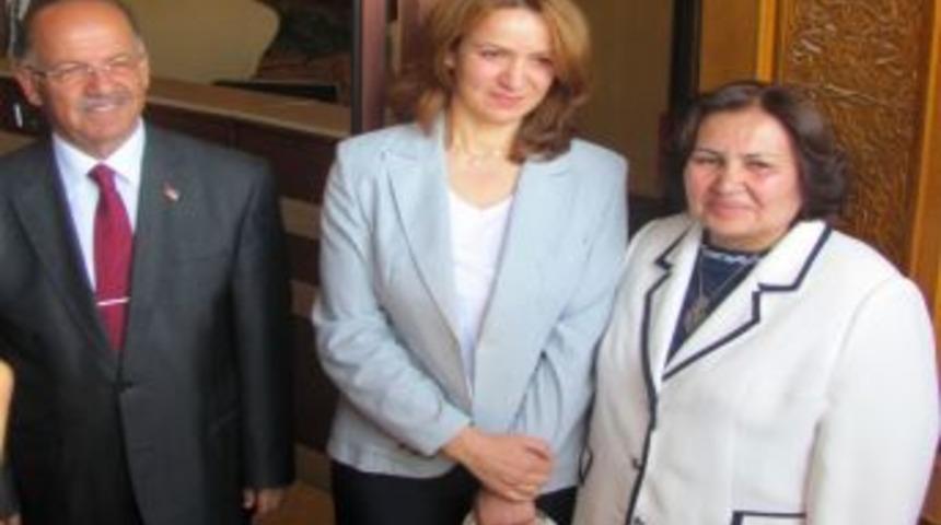 Vali Ali Kolat, Sivas'tan Ayrıldı