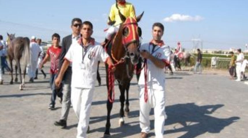 Valilik At Yarışları Kupasında Zafer &lsquo;darfur&rsquo;un
