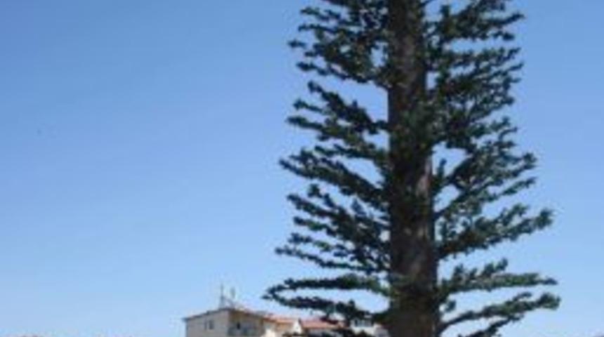 Ağa&ccedil; G&ouml;r&uuml;n&uuml;ml&uuml; Baz İstasyonuna Tepki