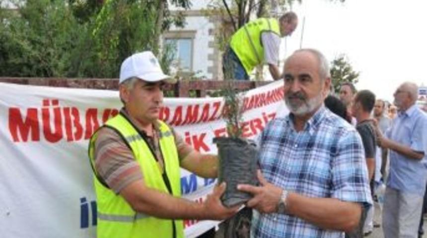 Belediye Mezarlıkta Fidan Dağıttı