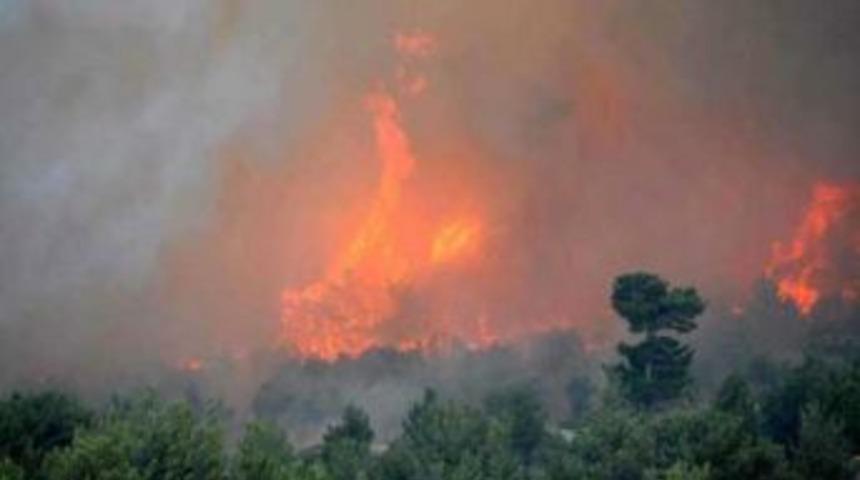 Bayramda Poyraz Var, Pikniğiniz Yangına D&ouml;n&uuml;şmesi