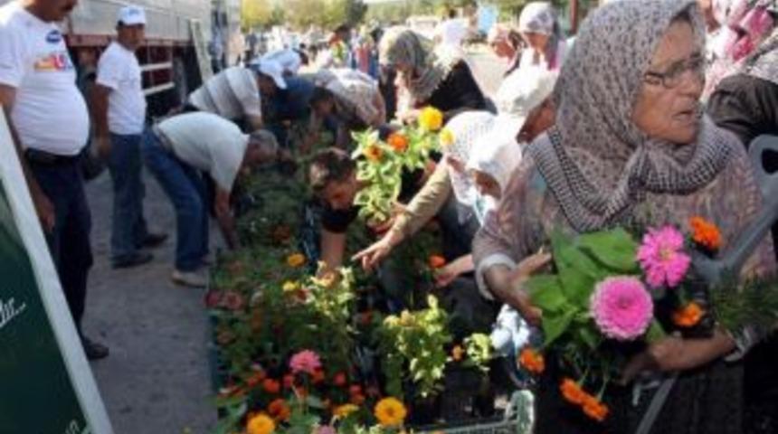 Kabir Ziyaretlerinde Çiçekler Büyükşehir’den