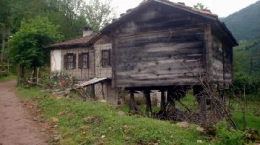 Serender K&uuml;lt&uuml;r&uuml; Karadeniz'de Yaşıyor