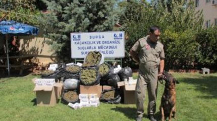 Esrarı Kokusundan Buldu