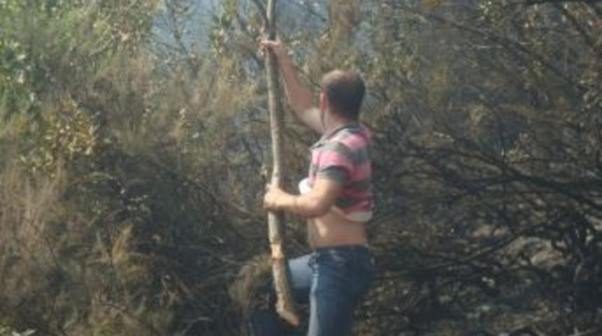 Sakarya&rsquo;da 10 Hektar Ormanlık Alan K&uuml;le D&ouml;nd&uuml;