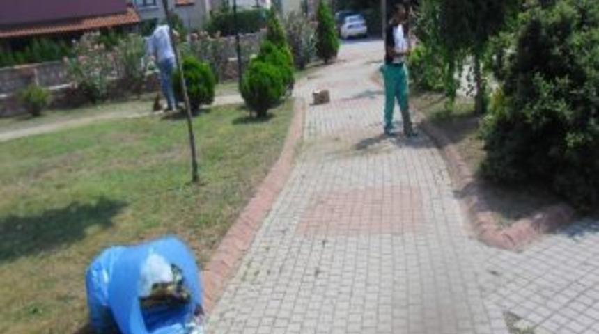 Parklarda Bakım Seferberliği