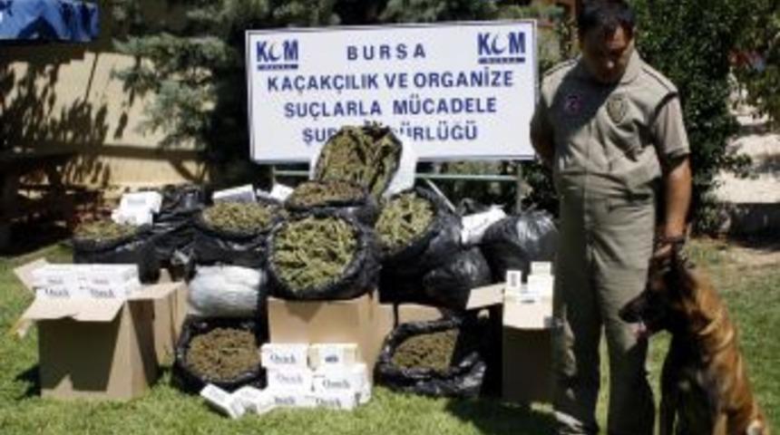 Polis Son 6 Ayda Kaçakçılık Yapan 145 Kişiyi Yakaladı