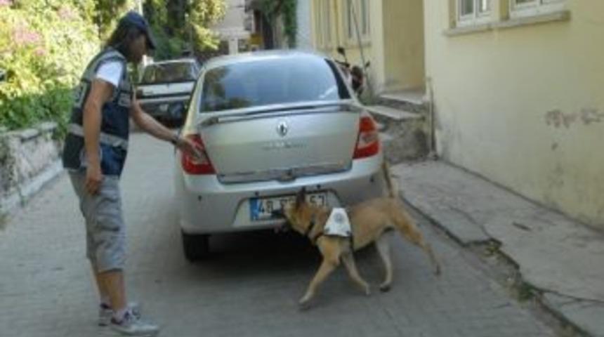 Fethiye&rsquo;de Narkotik K&ouml;pek&rsquo;i 2 Kilo Esrar Buldu