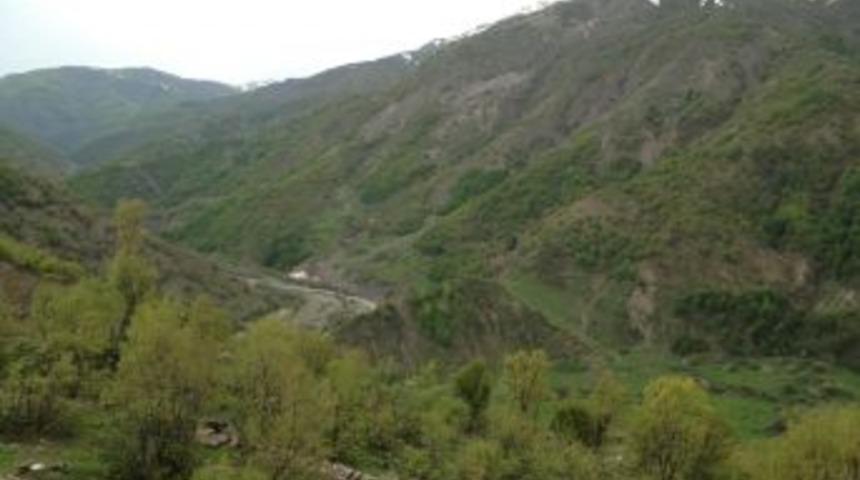 Diyarbakır-Muş-Bing&ouml;l Kırsalında Geniş Operasyon