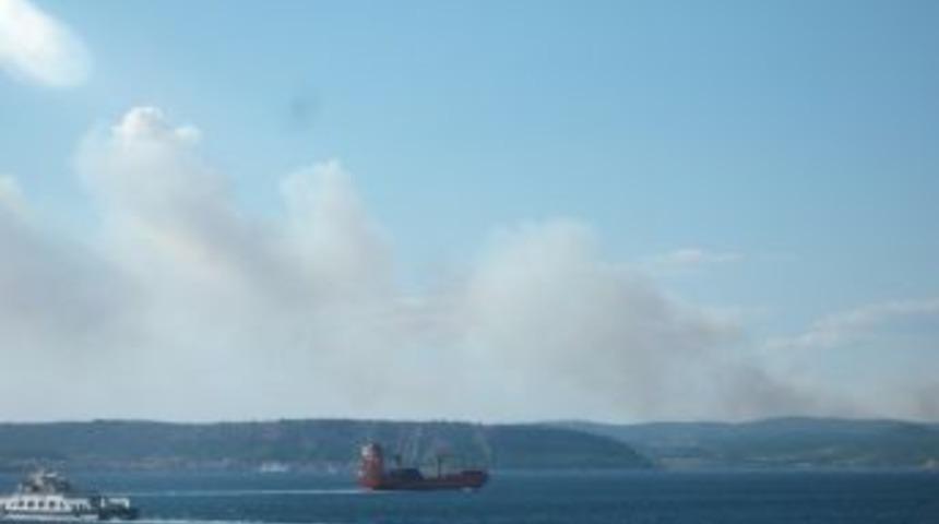 &Ccedil;anakkale'de Orman Yangını
