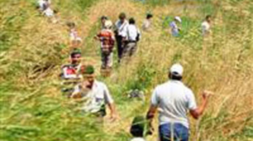 İki kardeş vurularak öldürüldü