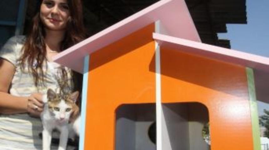 Minik Dostlara Villa Konforu