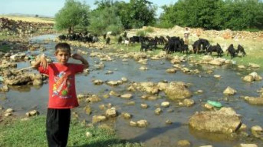 Karasu &Ccedil;ayında Su Bereketi