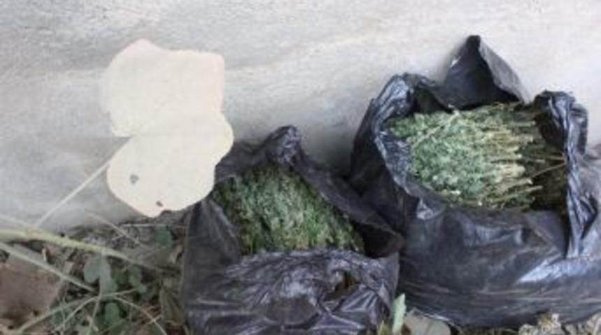 Muş'ta Uyuşturucu Operasyonu