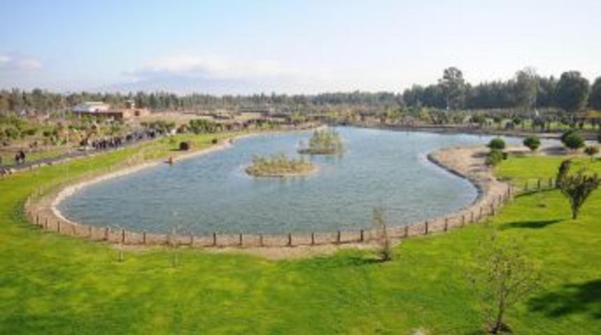 İzmir Doğal Yaşam Parkı’na Penguen Ve Su Samuru Geliyor