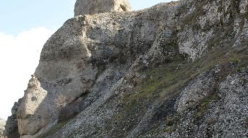 Ordu'da 110 Metrelik Deve Heykeli