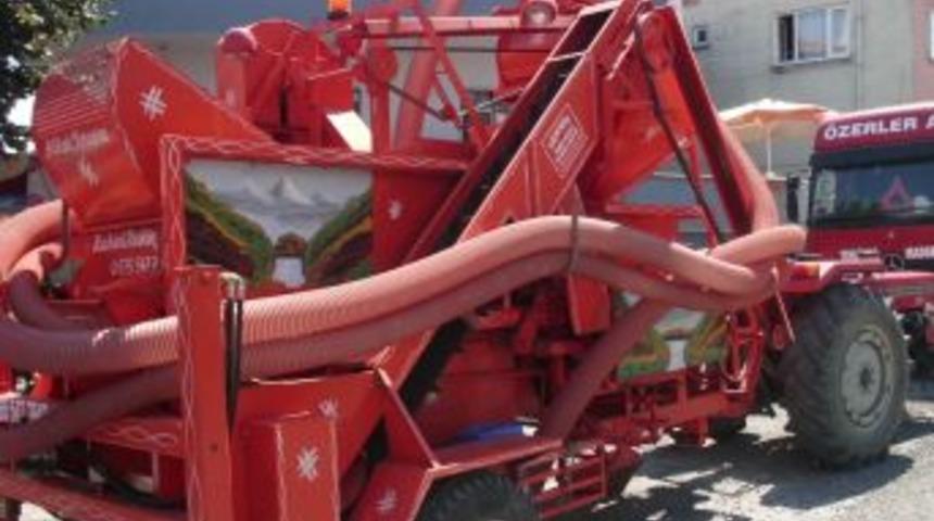 Fındık Patozu fiyatı Alaplı'da en pahalı