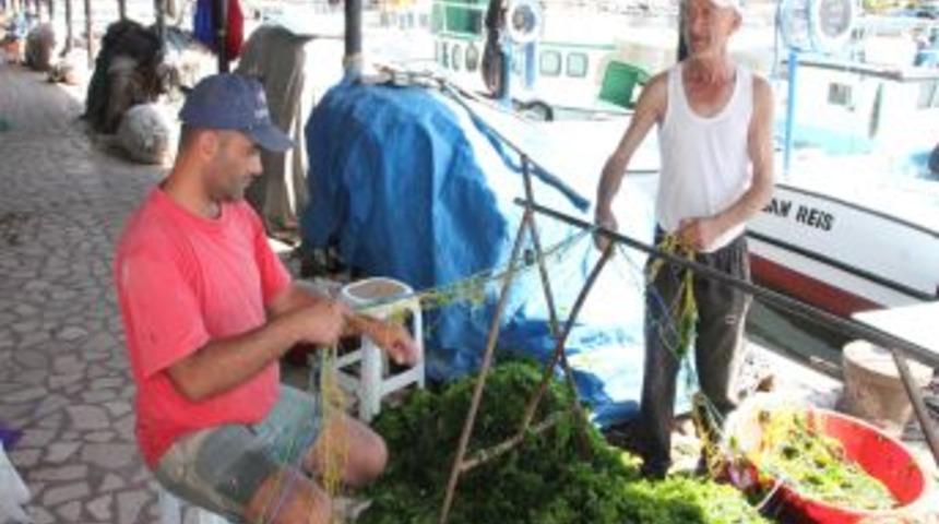 1 Eyl&uuml;l&rsquo;de &lsquo;Vira Bismillah&rsquo; Diyecek Balık&ccedil;ılar Hazırlıkları S&uuml;rd&uuml;r&uuml;yor