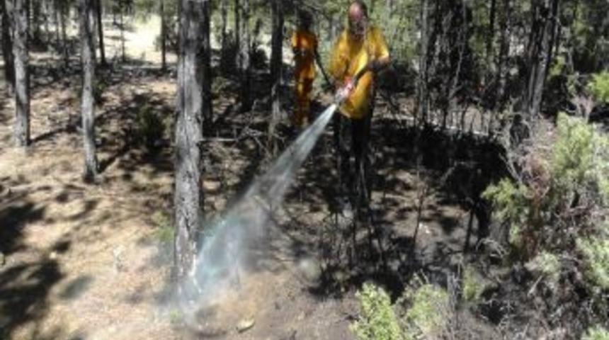 Beyşehir&rsquo;de Ormanlık Alanda &Ccedil;ıkan Yangın B&uuml;y&uuml;meden S&ouml;nd&uuml;r&uuml;ld&uuml;