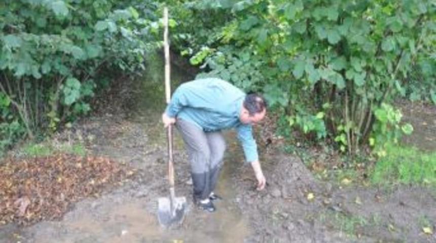 Samsun'da Fındık Tarlaları Sular Altında Kaldı