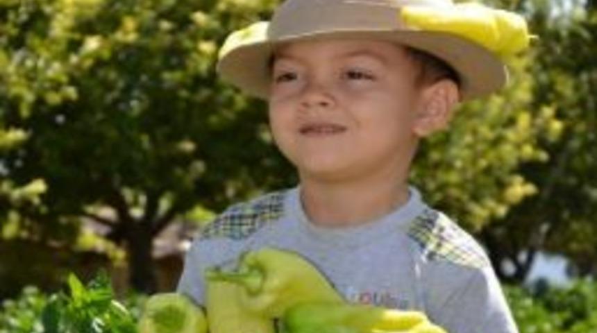 T&uuml;rkiye&rsquo;nin 3. Tescilli Biberi Olan Kale Biberinde &Uuml;reticiler Pazar Arayışlarını S&uuml;rd&uuml;r&uuml;yor