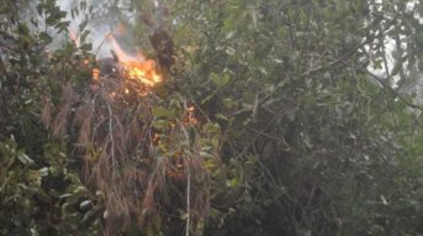 Suriye&rsquo;deki Orman Yangını T&uuml;rkiye&rsquo;ye Sı&ccedil;radı