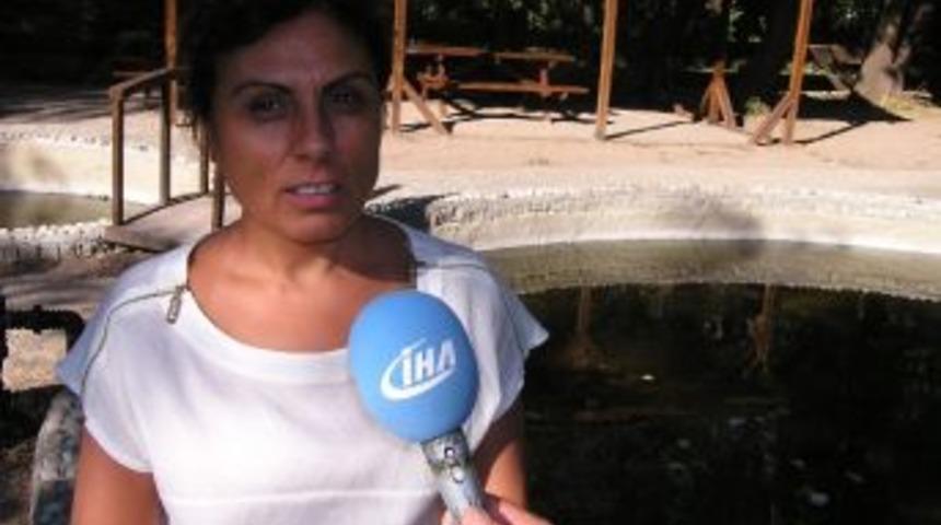 Bulaşık&ccedil;ı Balıklar İlgi Bekliyor