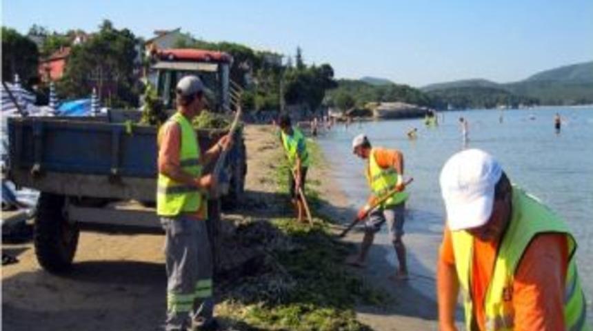 Büyükşehir Sahilleri Temizliyor