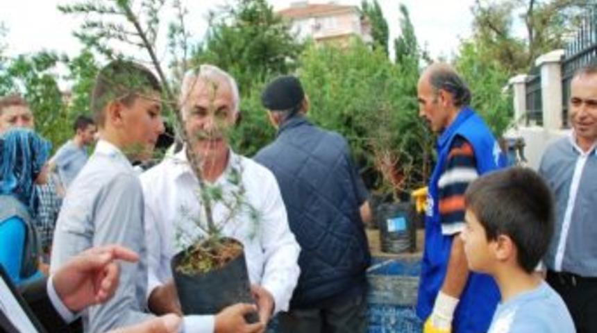 Mezarlıklarda &Uuml;cretsiz Fidan Dağıtıldı