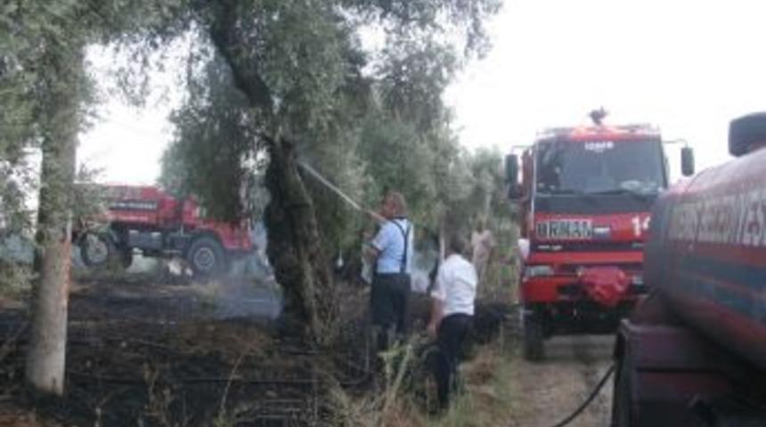 Ortak&ouml;y'de Yangın Korkuttu