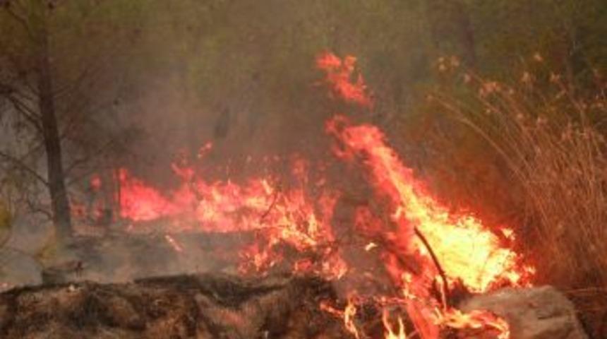 Sumbas&rsquo;ta Orman Yangını Kontrol Altına Alınamıyor