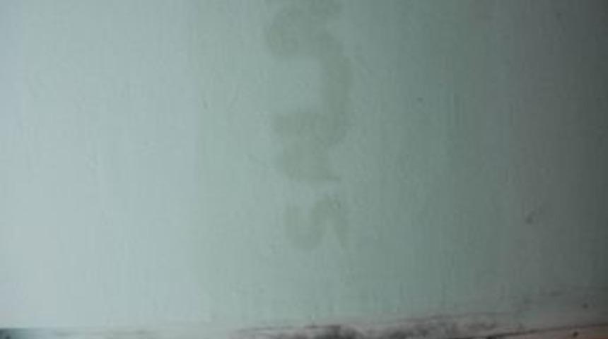 Hem Soydu, Hem 'salak' Yazdı, Hem De Taşıdı