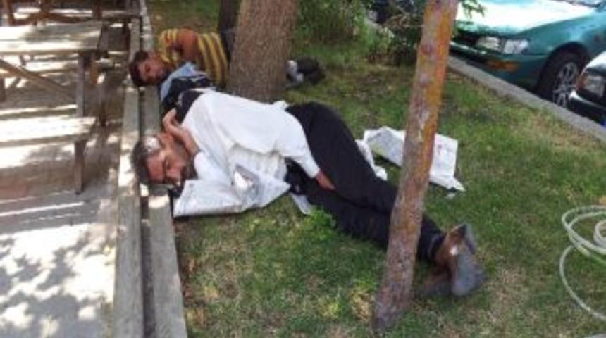 Sıcaktan Bunalanlar G&ouml;lge Yer Arıyor