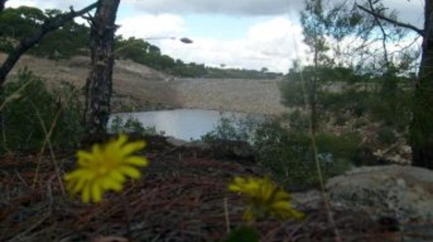 Biyolojik &Ccedil;eşitlik Doğal Dengeyi Sağlıyor