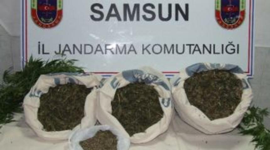 Jandarmadan Zehir Operasyonu